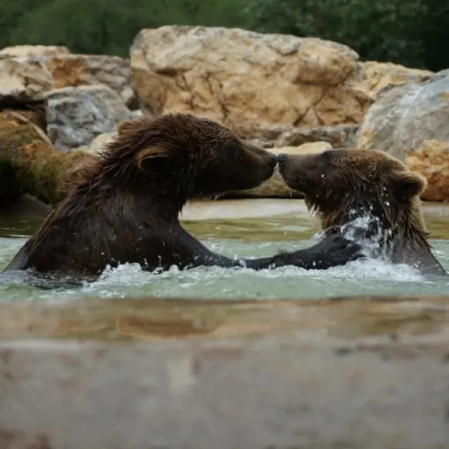 1702088062 1591711502.jpg