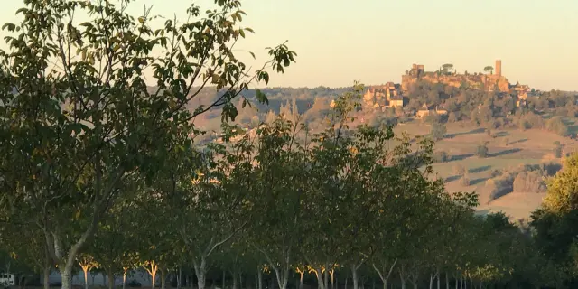 Verger la Vie Contée