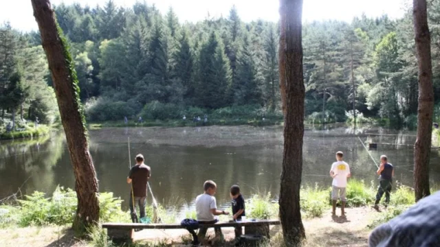 Foret De La Luzette Sousceyrac Medialot