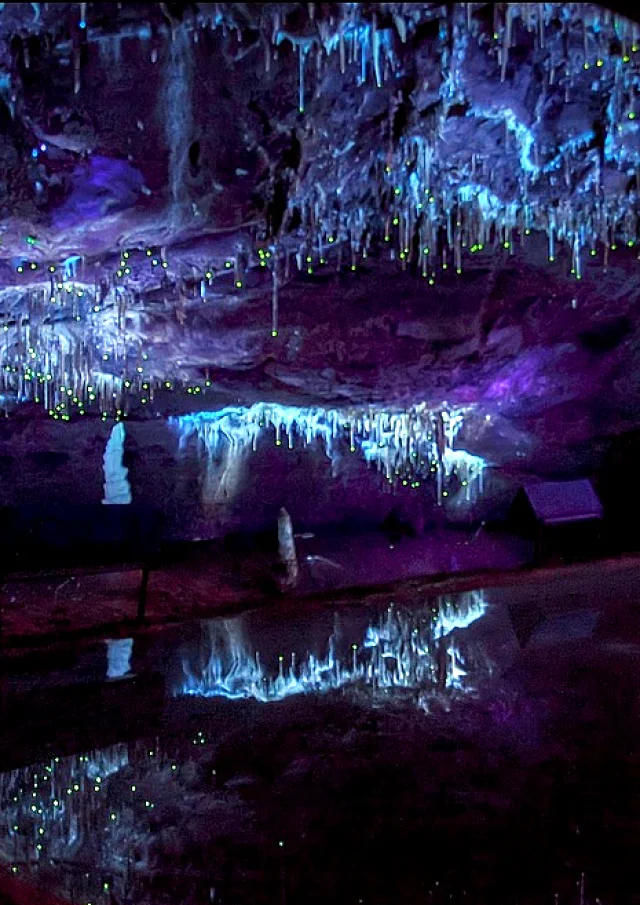 Sieste Grottes de Lacave