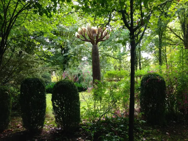 Jardins du Couvent De Meyronne