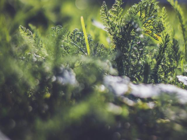 Christopher Lemercier Bjpaqfjqjcw Unsplash