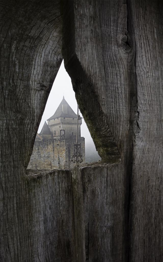 Chateau de Castelnaud