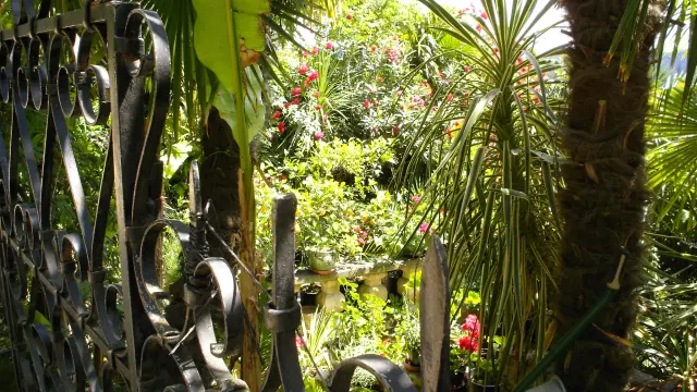 La Roque Gageac Jardins Exotique @sarlat Tourisme