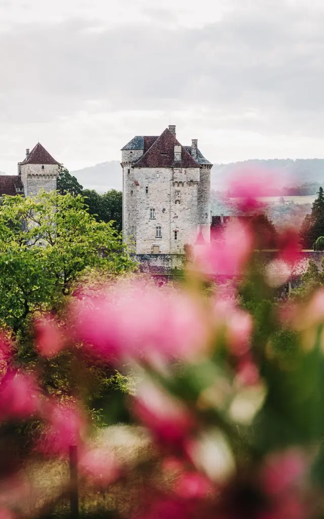 Instagram #curemonte