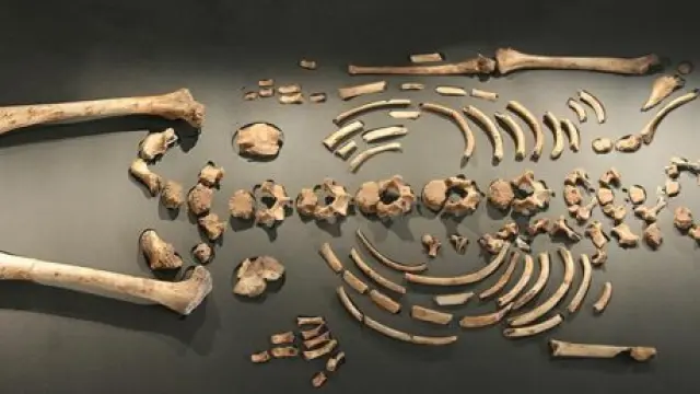 Enfant De La Madeleine