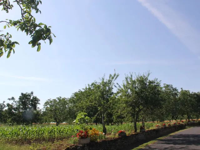 Saint Michel Loubéjou