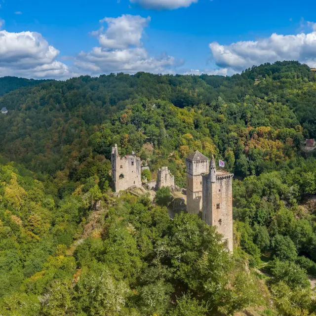 TOURS DE MERLE