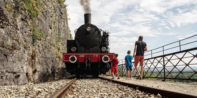 Instagram #trainmartel