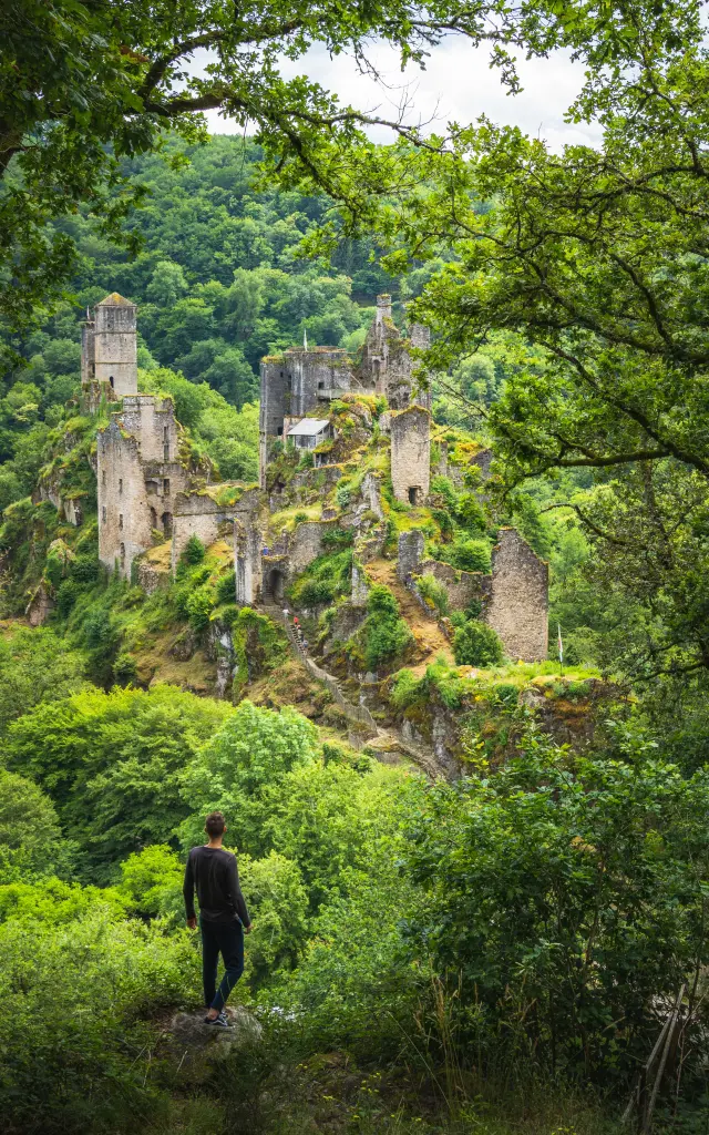 Dsc06904 © M. Seimbille Dronieguy Vallée De La Dordogne