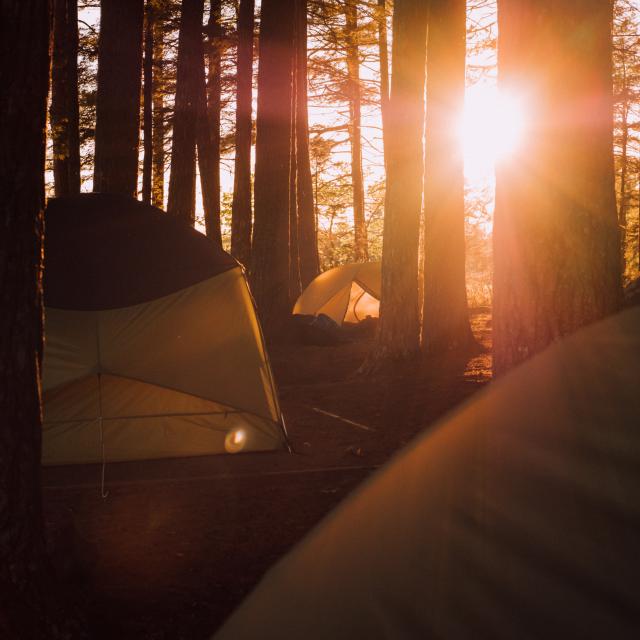 Bivouac en tente