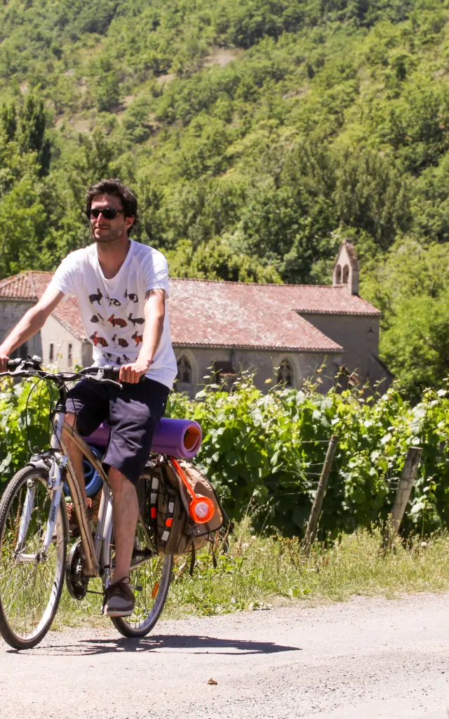 A vélo dans les vignes - Véloroute Vallée du Lot