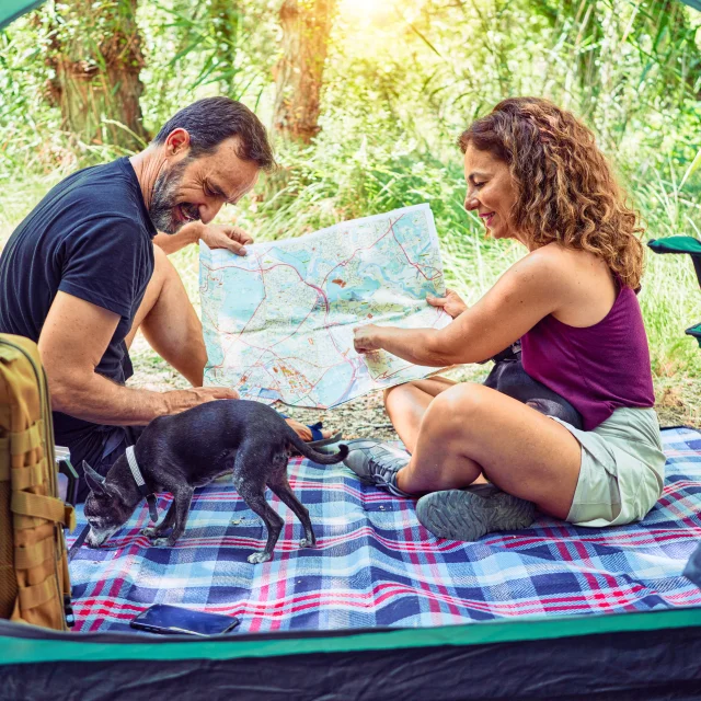 camping avec son chien