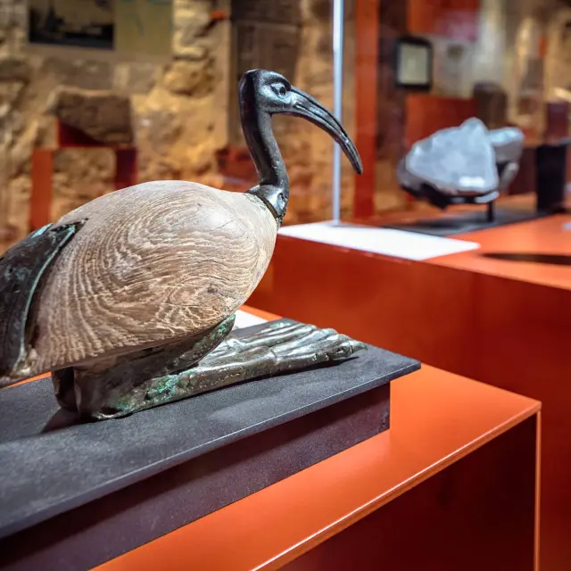 Musée Champollion Les écritures Du Monde @paul N.dubuisson