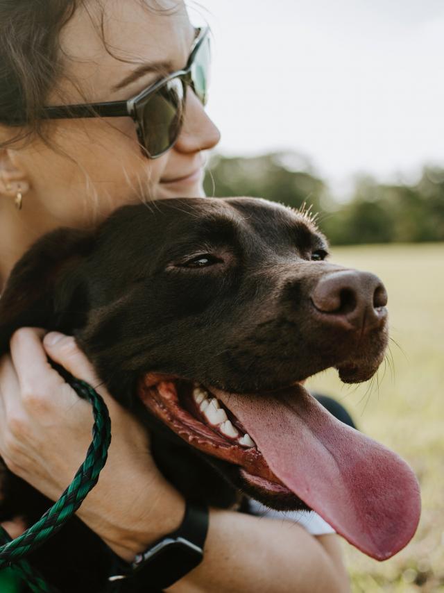 Wade Austin Ellis Ftujiubbuhi Unsplash