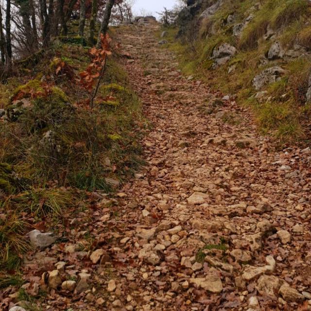 Chemin