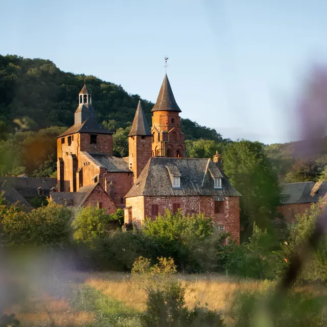 Collonges Dan Courtice