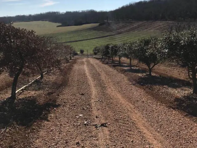 Ferme De La Truffe Cuzance