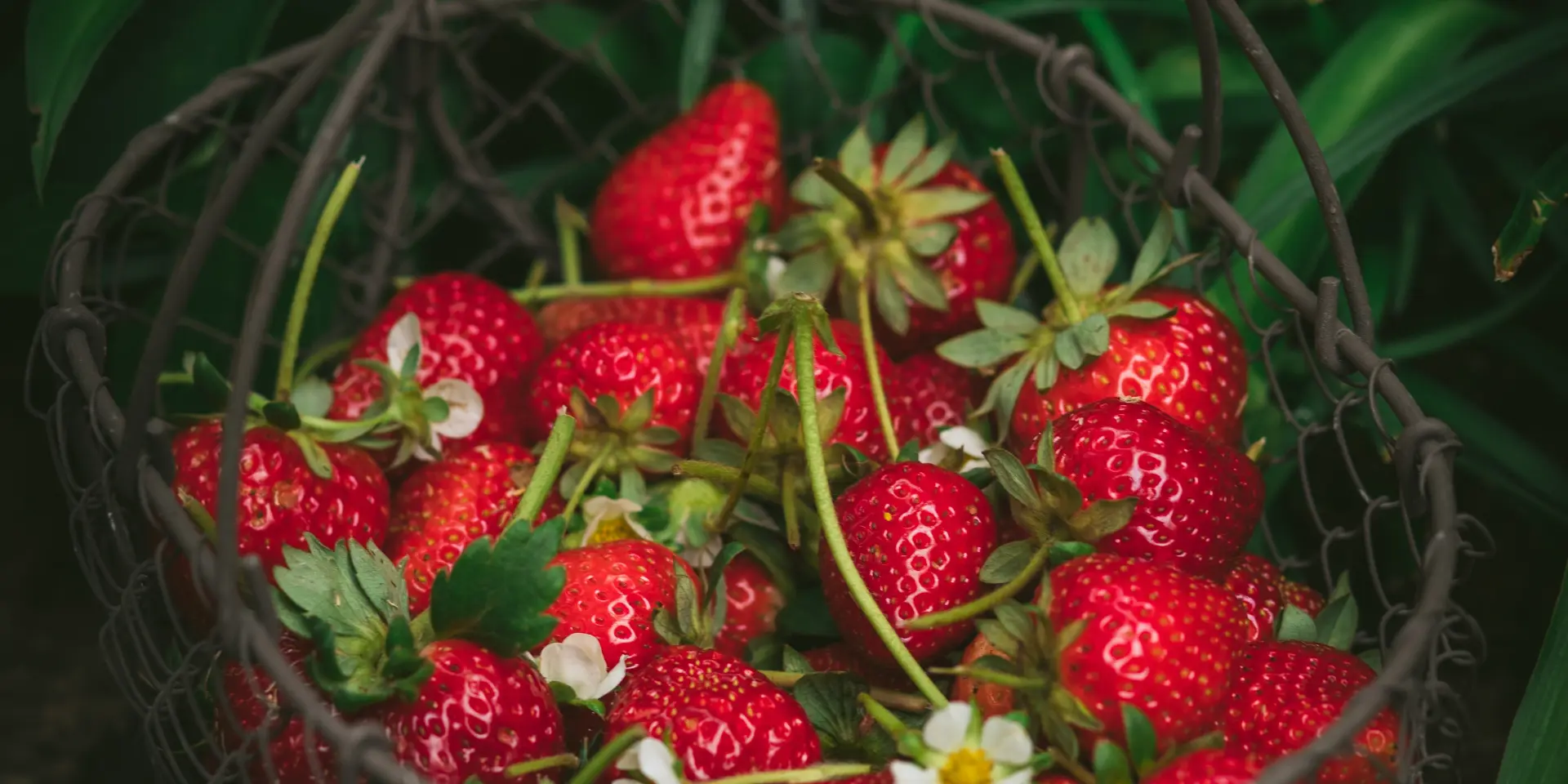 Heather Barnes 1yexkh0unmk Unsplash