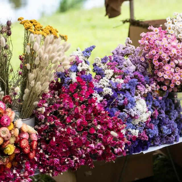 Marché Fleurs Dan Courtice