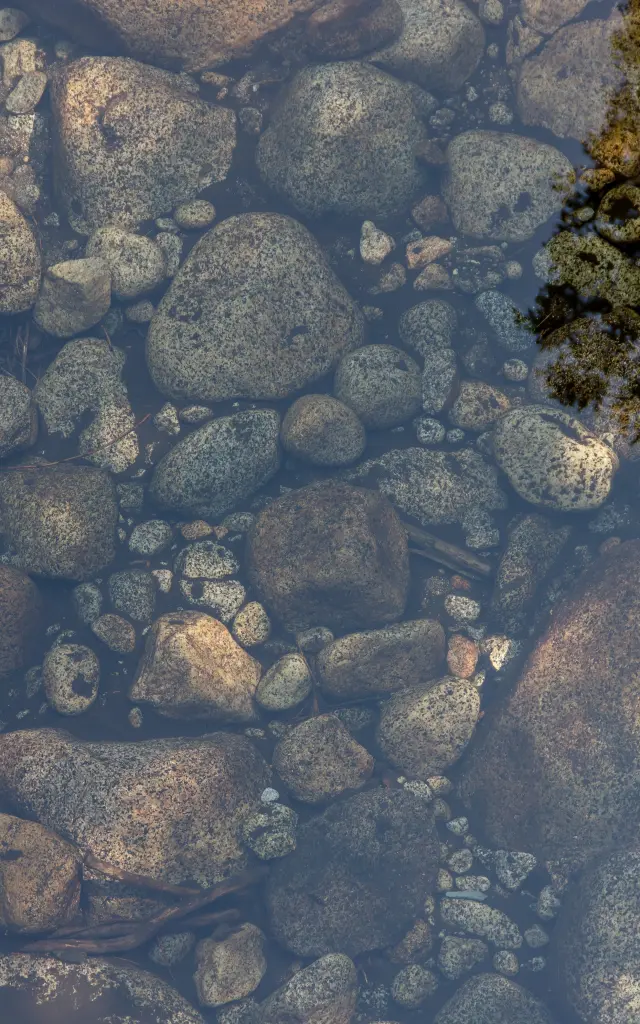 Sven Van Der Pluijm 52j7km2qtjk Unsplash