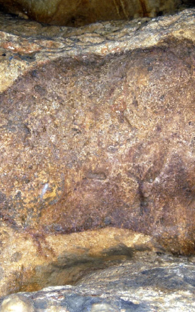 Grotte de Font De Gaume