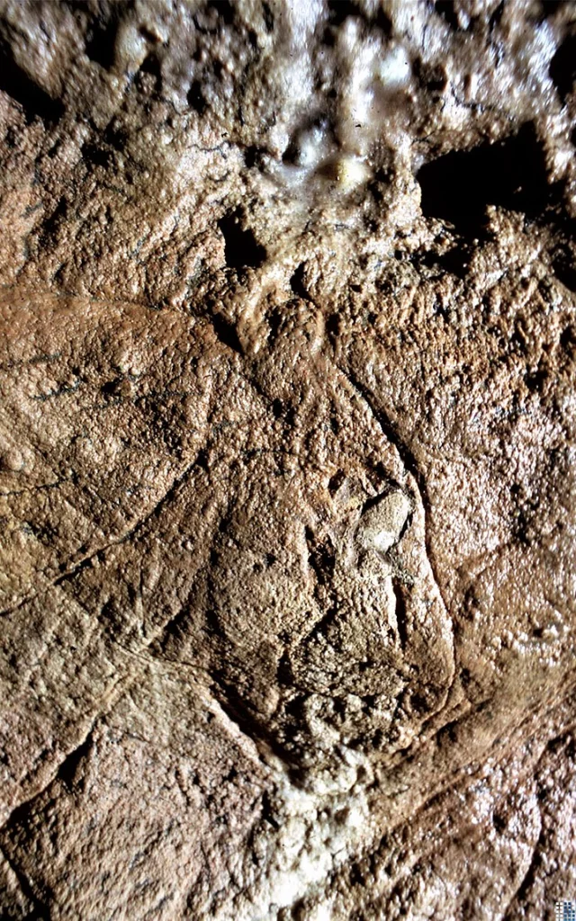 Grotte Des Combarelles
