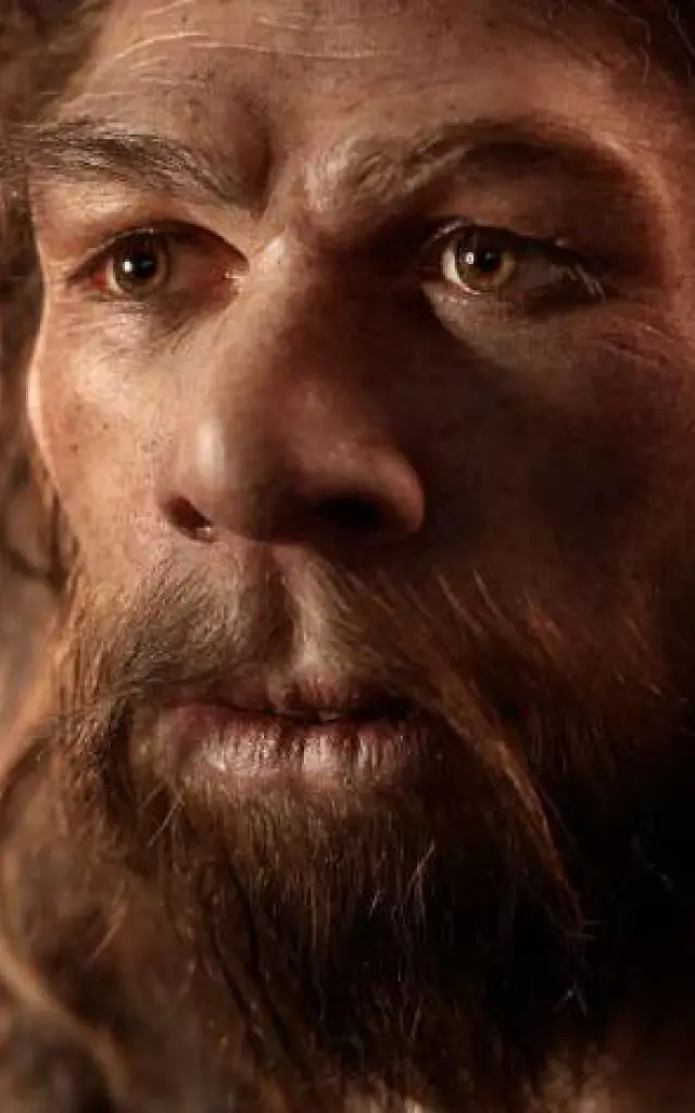 Homme Neandertal Histoire 740x472