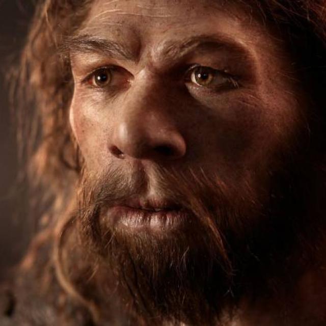 Homme Neandertal Histoire 740x472