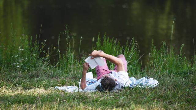 Lecture Au Bord De La Riviere Dan Courtice (1)