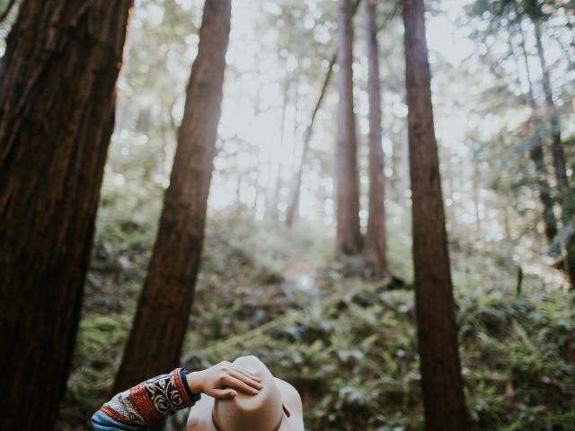 Ivana Cajina 9gznq7zumf4 Unsplash