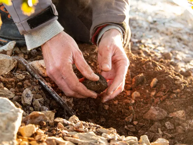 Cauvaldor Cavage ©malikaturin 7347 Bd