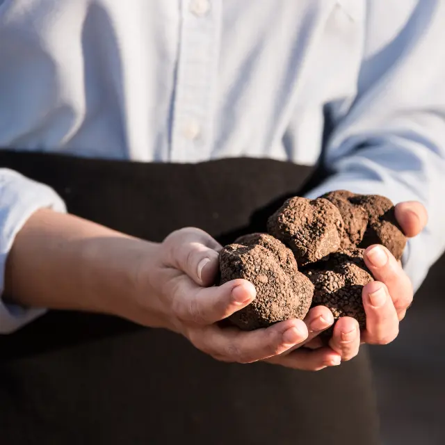 Cauvaldor Truffe Lifestyle ©malikaturin 2757