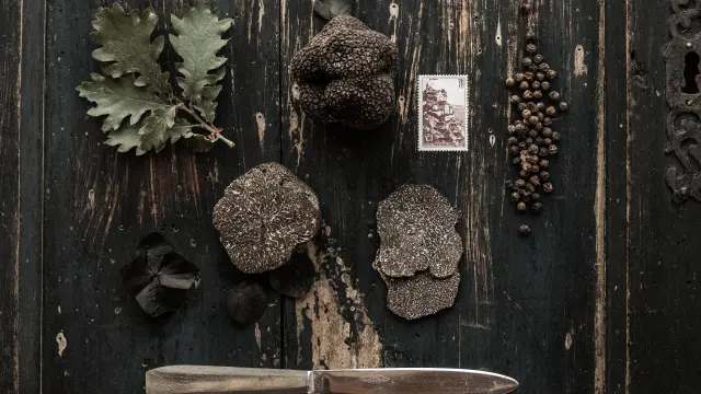 Cauvaldor Truffe Lifestyle ©malikaturin 2808