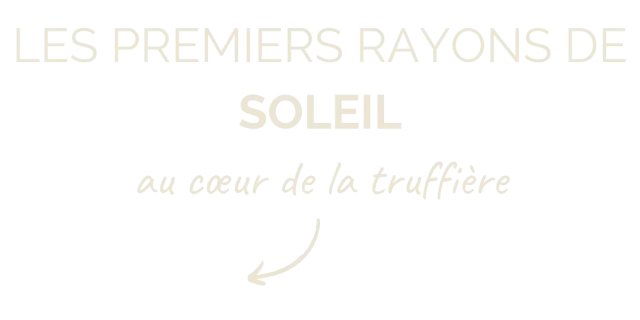 Picto Histoire Truffe 2