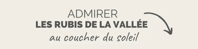 Copie de call to explore - 2