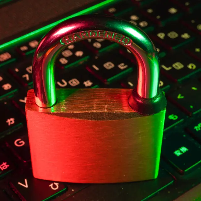 Fly D Mt7lxzpjk7u Unsplash