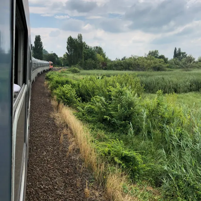 julian-steenbergen-train-unsplash.jpeg