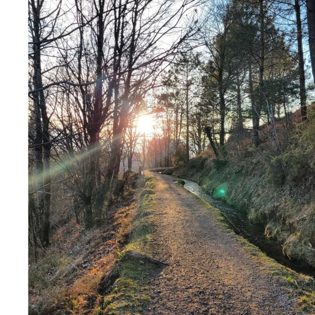 Instagram #aubazine