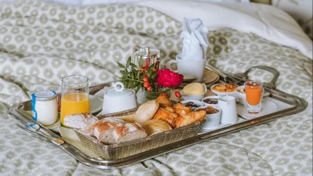 Le Cedre - Château de la Treyne