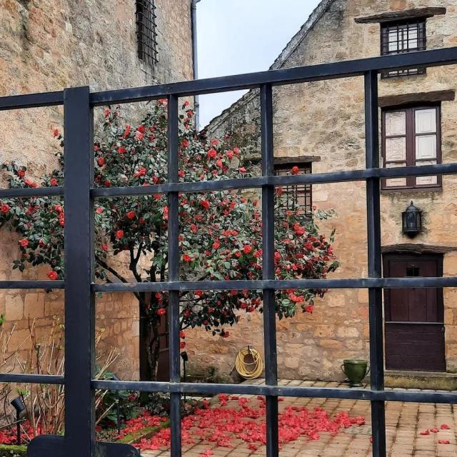Instagram #perigordnoir
