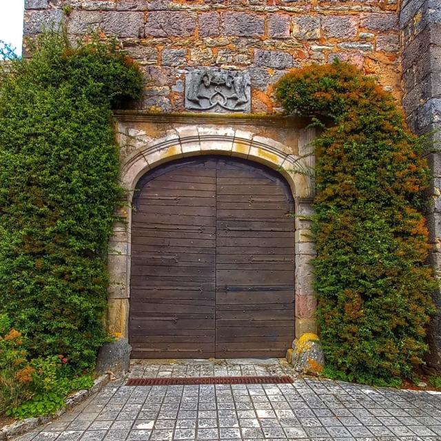 Instagram #loubressac