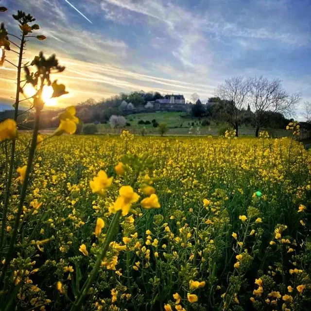 Instagram #marqueyssac