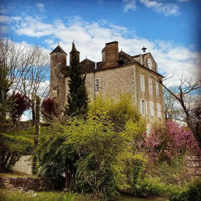 Instagram #saintsozy