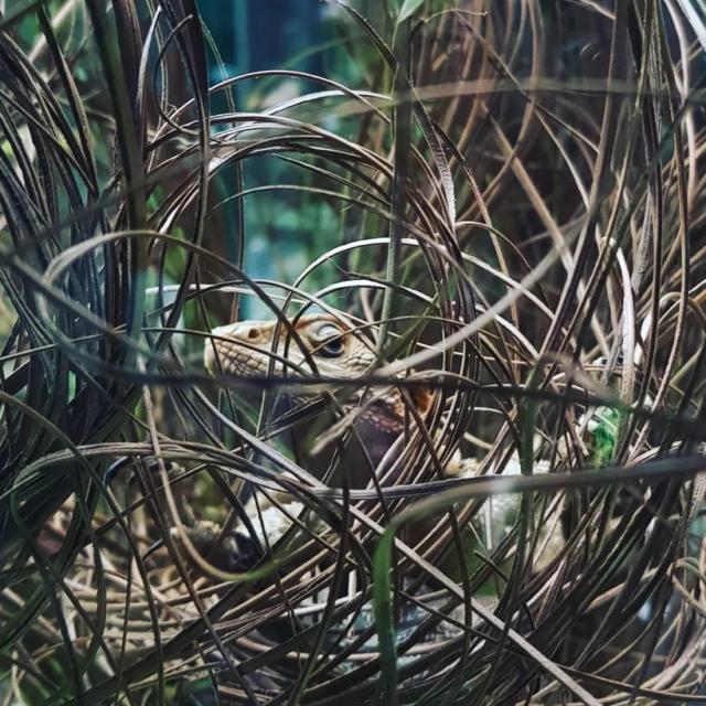 Instagram #padirac