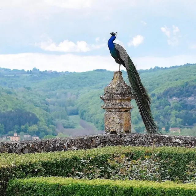 Instagram #marqueyssac