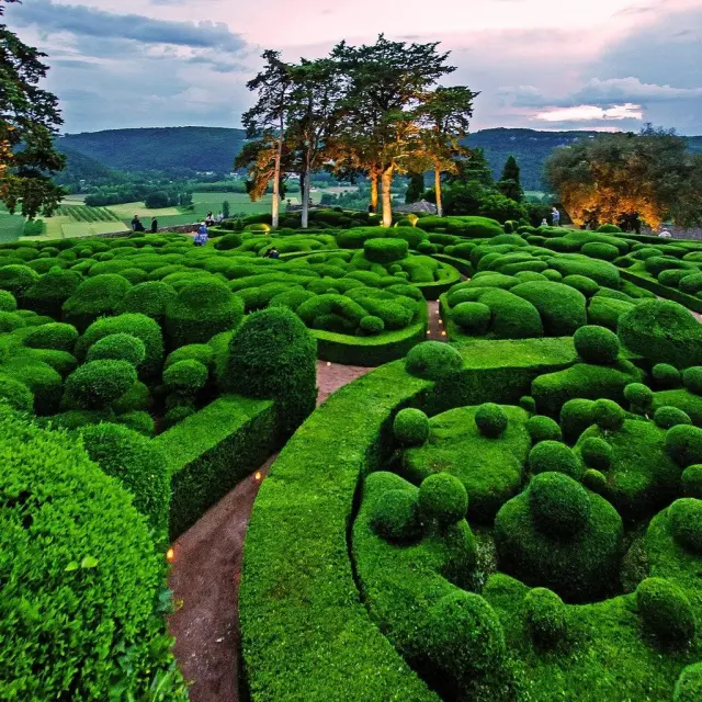 Instagram #perigordnoir