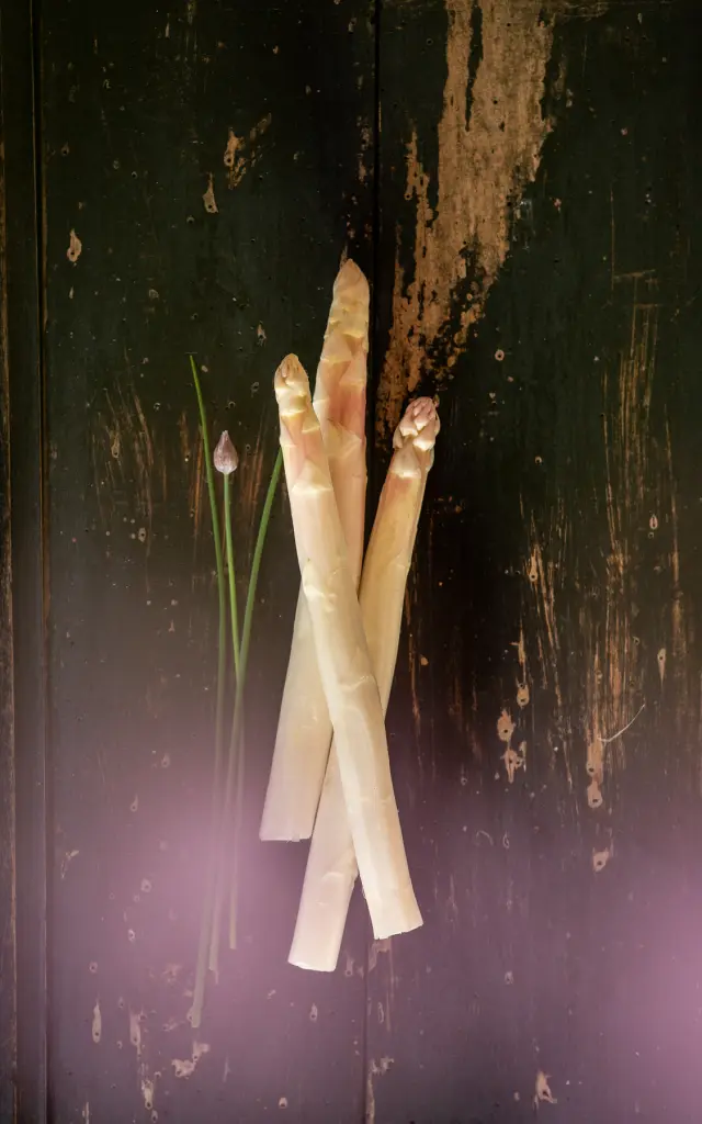 Asperge Cauvaldor1325 Web