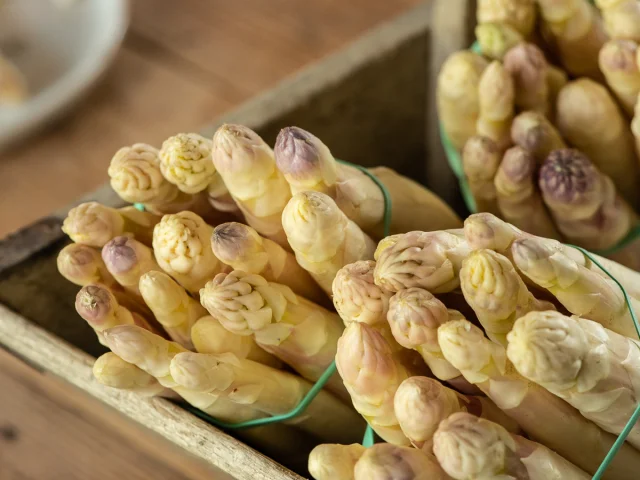 Asperge Cauvaldor1456 Web