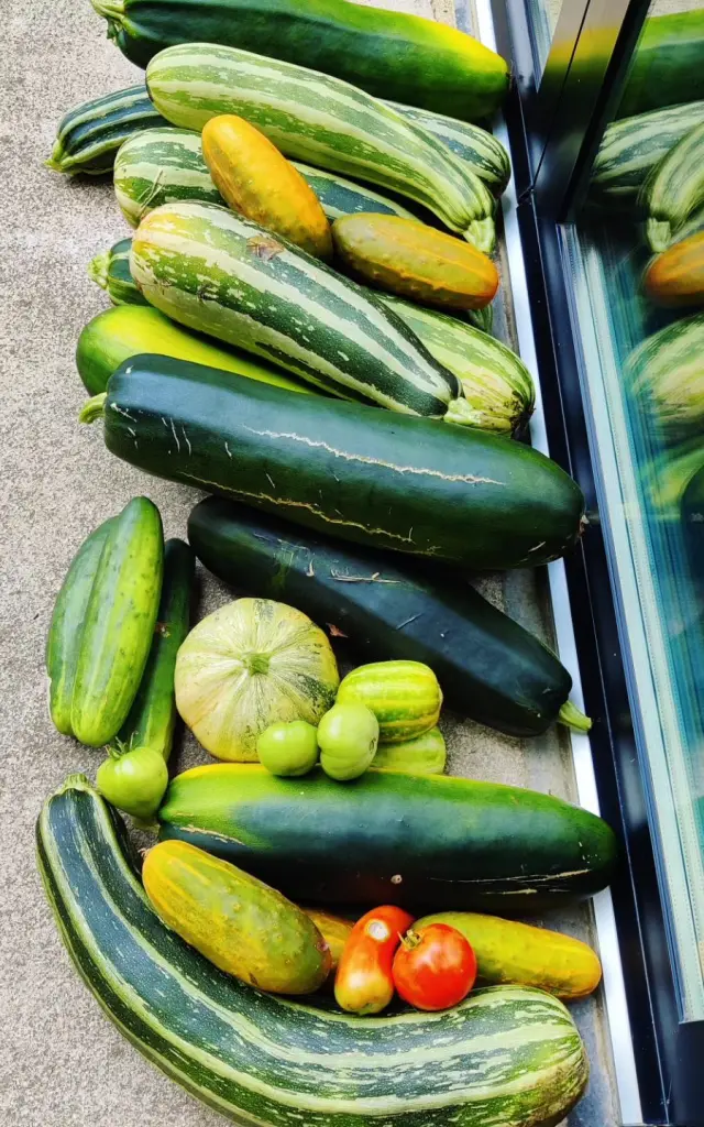 Estafete Legumes Potager